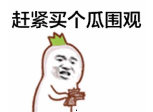 农村吃瓜群众表情包,笑料横生的乡村生活缩影