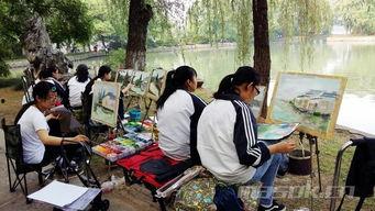 吃瓜群众小木屋视频大全,揭秘热门视频背后的趣味故事