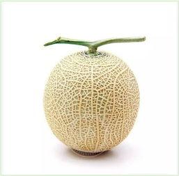 怎么更换吃瓜群众头像呢,吃瓜群众头像升级指南