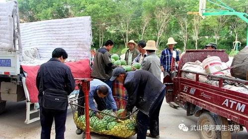 清水镇的吃瓜群众,吃瓜群众的热议焦点