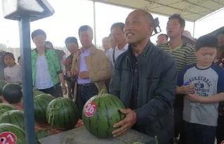 襄县吃瓜群众新闻,最新新闻事件深度解析