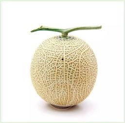 吃瓜群众茶叶,揭秘“吃瓜群众”与茶叶的奇妙邂逅