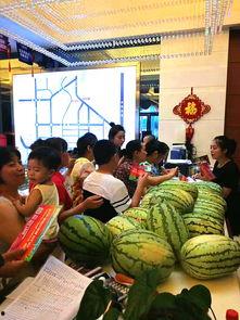 一排吃瓜群众视频下载,一排吃瓜群众视频下载背后的故事