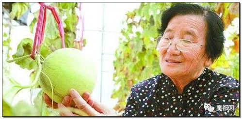 吃瓜群众的老奶奶图片大全,趣味横生的经典瞬间