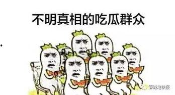 吃瓜群众在情感中的表现
