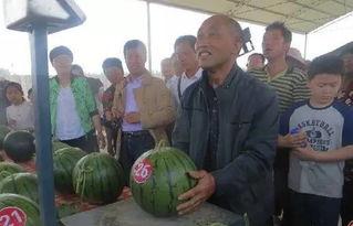 招远吃瓜群众事件最新消息,最新进展与各方反应汇总