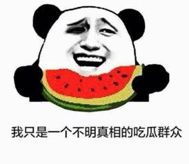 吃瓜群众喜欢凑热闹,揭秘热门事件背后的热议焦点