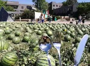 朝阳吃瓜群众是谁,网络红人的崛起与影响力