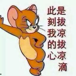 精致的吃瓜群众图片大全,精致生活下的趣味瞬间