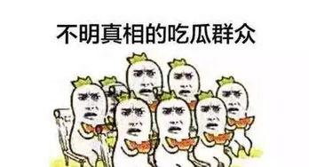 抖音吃瓜群众图片,揭秘网络热图背后的故事！”