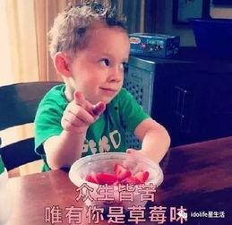 宋民国吃瓜群众表情包,趣味横生，笑点满满