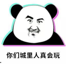 吃瓜群众的头像熊猫,趣味横生