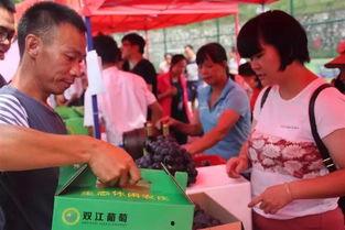 东源县吃瓜群众事件,网络舆论下的社会现象解析