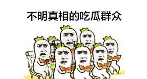 吃瓜群众杨师傅微博,吃瓜群众视角下的娱乐圈风云