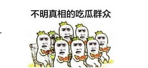 旁观吃瓜群众小刘,吃瓜群众的视角解读