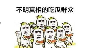 吃瓜群众起名怎么起,一场全民参与的舆论盛宴