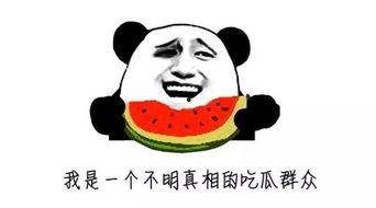 吃瓜群众不理解你怎么办,如何有效沟通与理解