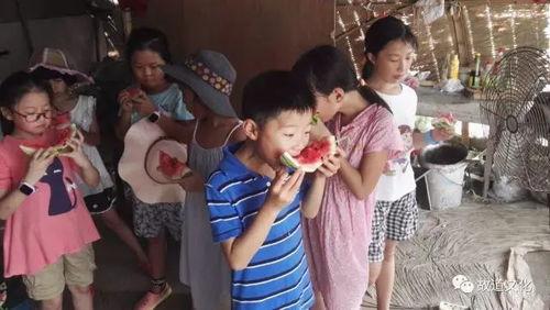 吃瓜群众莫心急,揭秘娱乐圈幕后真相