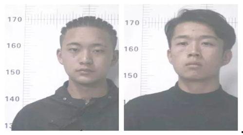 吃瓜群众进来坐牢了吗,一场意外的法律漩涡