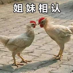 qq有没有比较好的吃瓜群众,吃瓜群众的聚集地，揭秘热门事件背后的真相