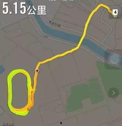 5号吃瓜群众,揭秘5号吃瓜群众的瓜界传奇