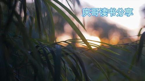 乱七八糟的吃瓜群众,揭秘娱乐圈幕后真相