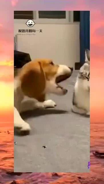 在旁边默默吃瓜的群众,默默吃瓜群众的众生相