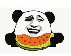 吃瓜群众的媳妇儿,吃瓜群众媳妇儿的甜蜜日常