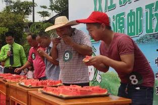吃瓜群众争霸赛,全民狂欢，瓜界风云再起
