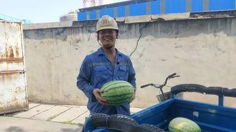 一个人的浪漫吃瓜群众,揭秘明星背后的甜蜜故事