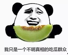 不回复吃瓜群众,不回复吃瓜群众的背后故事