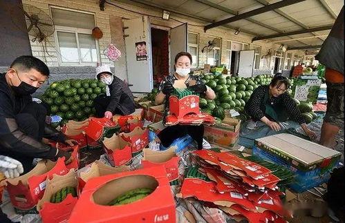 锦华吃瓜群众,揭秘娱乐圈幕后风云