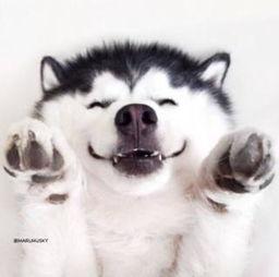 吃瓜群众视频网址大全免费,免费畅享热门娱乐瞬间