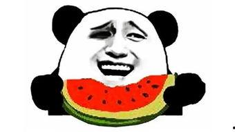 吃瓜群众经典幽默句子简短,吃瓜群众幽默语录大盘点