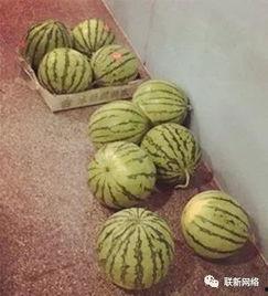 回忆杀来一波吃瓜群众,回忆杀！揭秘娱乐圈那些年吃瓜群众的疯狂岁月