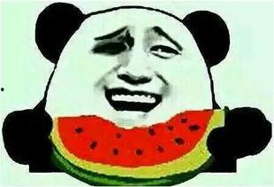 搞事吃瓜群众怎么办,策略与心态解析