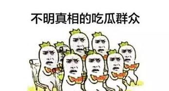 吃瓜群众作文的素材,揭秘吃瓜群众的趣味生活